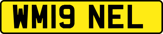 WM19NEL