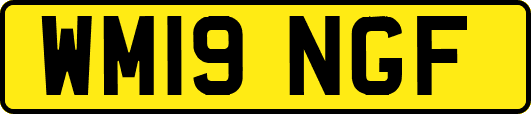 WM19NGF