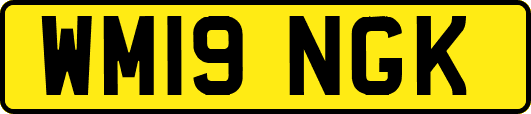 WM19NGK