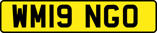 WM19NGO