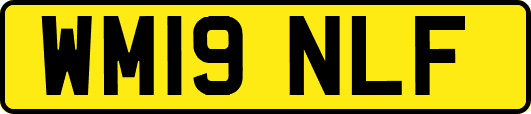 WM19NLF