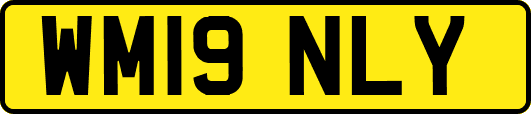WM19NLY