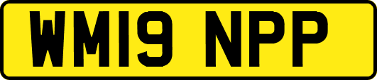 WM19NPP