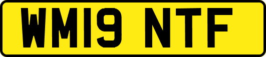 WM19NTF