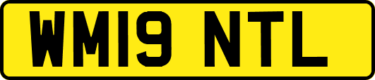 WM19NTL
