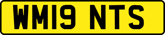 WM19NTS