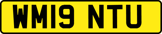 WM19NTU