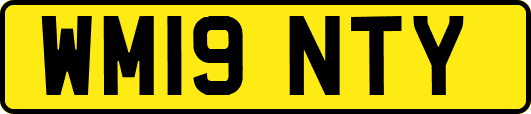 WM19NTY