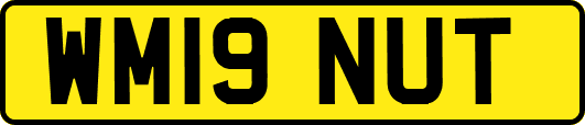 WM19NUT