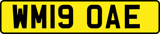 WM19OAE