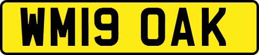 WM19OAK