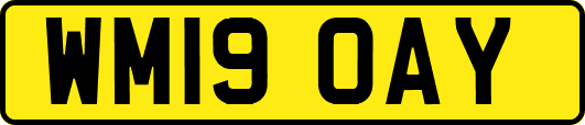 WM19OAY