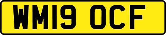 WM19OCF