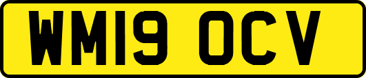 WM19OCV