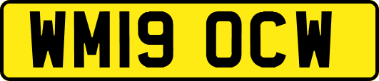 WM19OCW