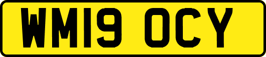 WM19OCY