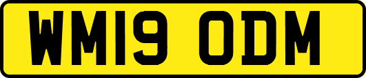 WM19ODM