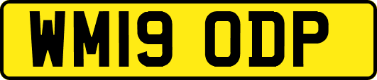 WM19ODP
