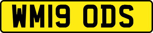 WM19ODS