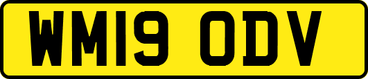 WM19ODV