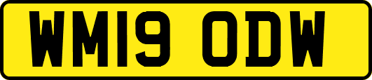 WM19ODW