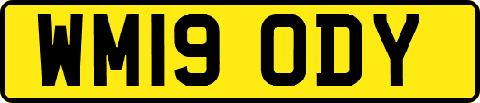 WM19ODY