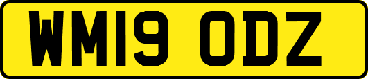WM19ODZ