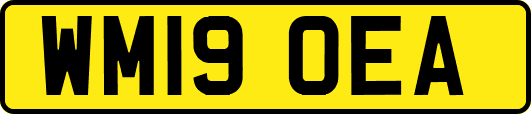 WM19OEA