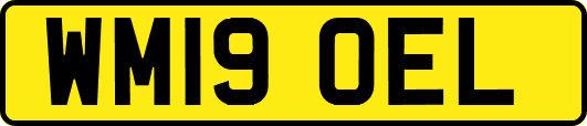 WM19OEL
