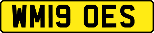 WM19OES