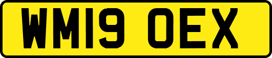 WM19OEX