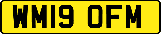 WM19OFM