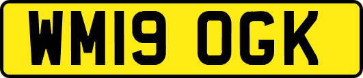 WM19OGK
