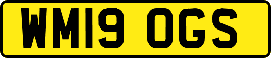 WM19OGS