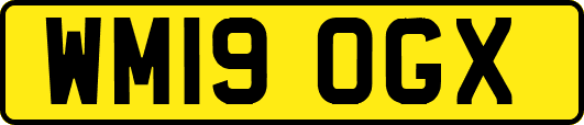 WM19OGX