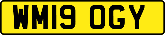 WM19OGY