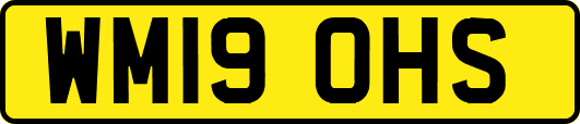 WM19OHS