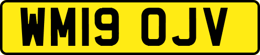 WM19OJV