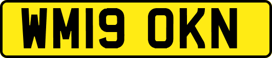 WM19OKN