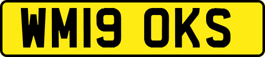 WM19OKS