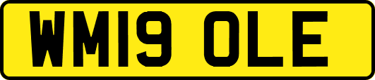 WM19OLE