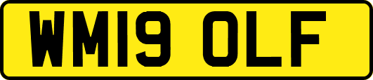 WM19OLF