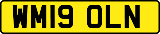 WM19OLN