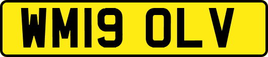WM19OLV