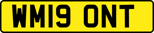 WM19ONT