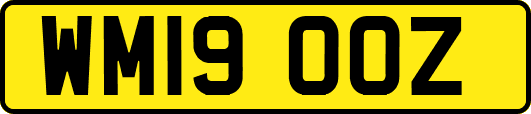 WM19OOZ