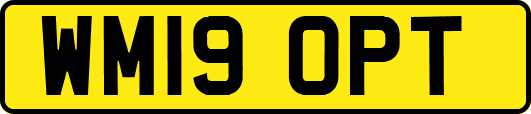 WM19OPT
