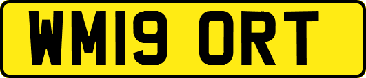 WM19ORT