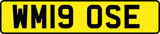 WM19OSE