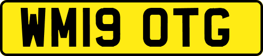 WM19OTG
